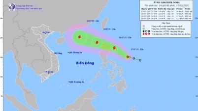 Nghệ An ra công điện ứng phó với áp thấp nhiệt đới có thể mạnh lên thành bão và mưa lớn diện rộng