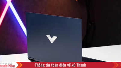 Đánh giá HP Victus 16: Sự cân bằng giữa hiệu năng và thiết kế