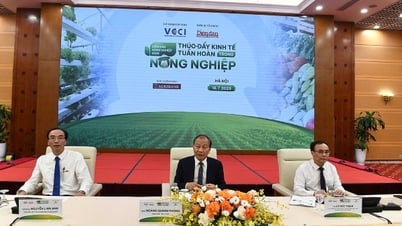 Tư duy cũ cản trở đổi mới sáng tạo trong nông nghiệp tuần hoàn