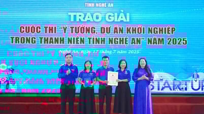 Chi tiết 11 giải Ý tưởng, dự án khởi nghiệp trong thanh niên Nghệ An và các cuộc thi quan trọng của Đoàn cấp tỉnh 2025