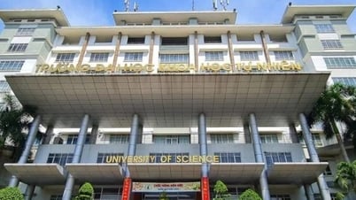 Trường ĐH Khoa học tự nhiên TP. Hồ Chí Minh công bố điểm sàn năm 2025