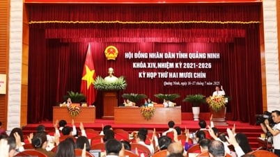 Bế mạc Kỳ họp thứ 29, HĐND tỉnh khóa XIV: Thông qua 26 nghị quyết quan trọng