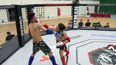 160 vận động viên tranh tài tại Cúp các câu lạc bộ Võ thuật tổng hợp toàn quốc