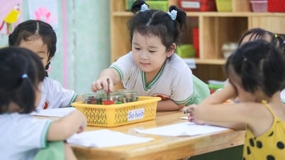 TP.HCM mới, sau sáp nhập: Hơn nửa triệu trẻ mầm non, 1.800 trường, 3.000 nhóm lớp