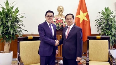 Phó Thủ tướng, Bộ trưởng Bùi Thanh Sơn đề nghị Việt Nam - Campuchia thúc đẩy công tác phân giới cắm mốc biên giới trên đất liền