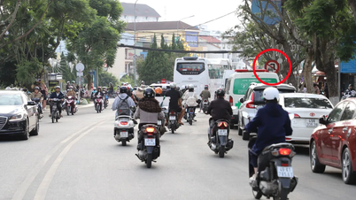 Nhiều phương tiện bị phạt nguội do biển báo "núp bóng" ở phường Xuân Hương - Đà Lạt