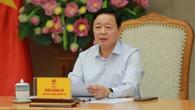 Đề xuất sửa đổi, bổ sung một số điều của 16 luật trong lĩnh vực nông nghiệp và môi trường