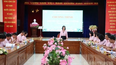 Kiểm tra hoạt động tín dụng chính sách sau sắp xếp đơn vị hành chính