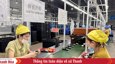 Thành lập công đoàn trong doanh nghiệp ngoài Nhà nước