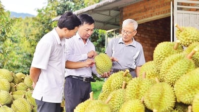 Thách thức trong kiểm soát chất lượng