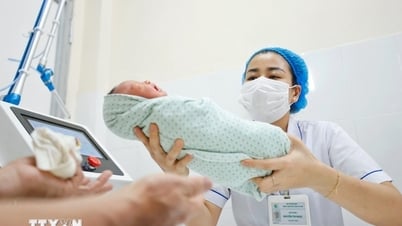 Quy định mới về mang thai hộ và hỗ trợ sinh sản có hiệu lực từ 1/10