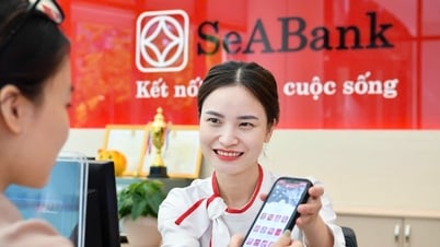SeABank được hai tổ chức quốc tế vinh danh, khẳng định hiệu quả quản trị,...
