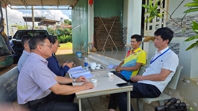 Đảm bảo tiến độ Tổng điều tra nông thôn, nông nghiệp