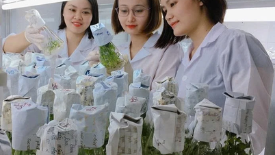 Đào tạo ngành Sinh học theo hướng ứng dụng gắn với thực tiễn và hội nhập quốc tế