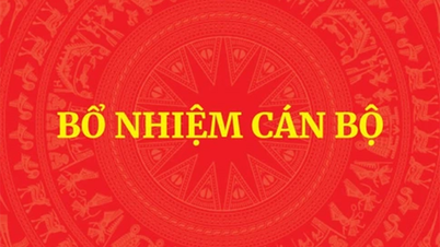 Đúng quy trình, đủ tiêu chuẩn - vì sao bổ nhiệm... vẫn sai? - Bài 1: Cán bộ vừa “cất cánh” đã... “rơi”