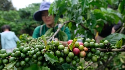 Doanh nghiệp 'chèo chống' với tỉ giá