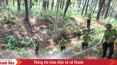 Dự báo và thông tin cấp dự báo cháy rừng từ ngày 17/7 - 20/7/2025