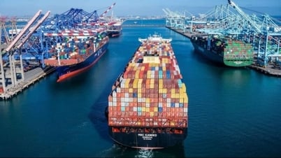 Việt Nam là địa chỉ cung ứng hàng hóa tin cậy