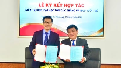 Báo Tuổi Trẻ và Trường đại học Tôn Đức Thắng hợp tác đào tạo nhân lực truyền thông