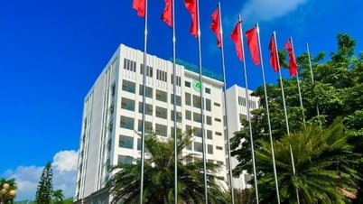 Điểm chuẩn Trường Đại học Lâm nghiệp 2025