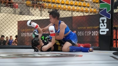 Khẳng định vị thế MMA trong hệ thống thể thao thành tích cao