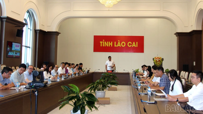 Lào Cai tham dự Hội nghị trực tuyến sơ kết 6 tháng đầu năm ngành Văn hóa, Thể thao và Du lịch