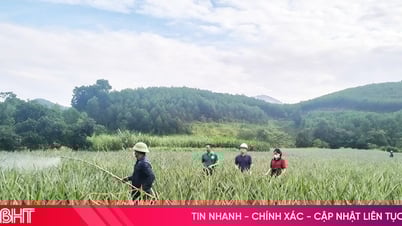 Những hạt mầm kinh tế tư nhân ở nông thôn Hà Tĩnh