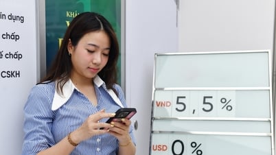 Lãi suất ngân hàng hôm nay 17/7/2025: Thưởng đến 0,2%/năm...
