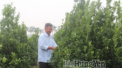 Xây dựng phường Trà Lý trở thành trung tâm văn hóa, vui chơi, giải trí và phát triển du lịch