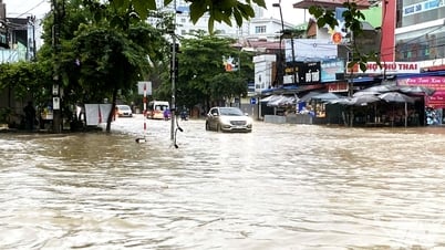 Solutions pour prévenir les inondations dans la zone centrale de la province