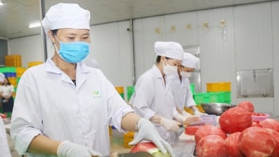Economía privada: un motor importante de Lam Dong