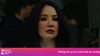 Hồng Nhung sau biến cố