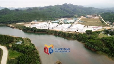 Thúc đẩy đầu tư xã hội hóa bằng chính sách miễn tiền thuê đất