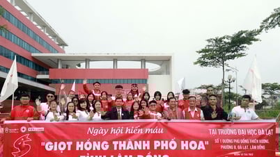 Ngày mai 18/7, diễn ra Ngày hội "Giọt hồng thành phố Hoa" năm 2025