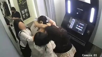 Vụ khách Hàn đánh 2 cô gái Việt Nam: Thông tin về công ty Hàn Quốc