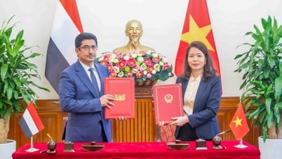 Yemen đề nghị Việt Nam kết nối để doanh nghiệp sang học hỏi kinh nghiệm