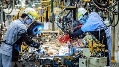 استكمال العديد من السياسات لتطوير الصناعات الداعمة