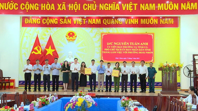 Phó Chủ tịch UBND tỉnh Nguyễn Tuấn Anh làm việc với phường Hoài Nhơn, Hoài Nhơn Nam và các đơn vị quân đội