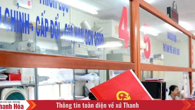 Rà soát, chuẩn hoá lại các thủ tục hành chính về đất đai