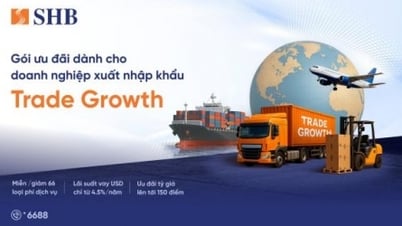 SHB tiếp sức doanh nghiệp xuất khẩu với lãi vay USD chỉ từ 4,5%/năm