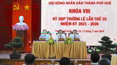 Hội đồng Nhân dân thành phố chất vấn nhiều vấn đề nóng
