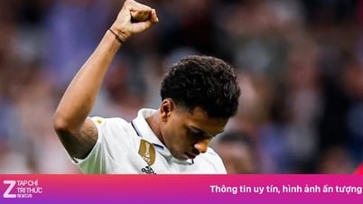 Đề nghị gây sốc Chelsea dành cho Rodrygo