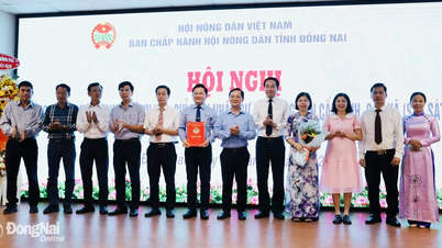 Hội Nông dân tỉnh công bố các quyết định về công tác tổ chức, cán bộ