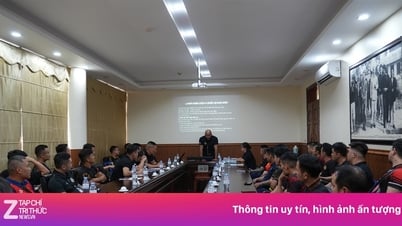 Cúp MMA toàn quốc 2025 là bàn đạp cho SEA Games