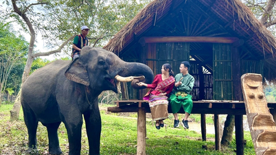 Du lịch trải nghiệm – Khám phá văn hóa bản địa và nghề truyền thống tại các tỉnh miền Tây và Tây Nguyên