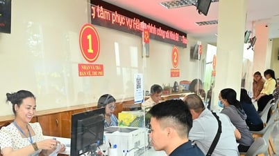 TPHCM: Phân cấp, ủy quyền một số nội dung về tuyển dụng, sử dụng cán bộ, công chức