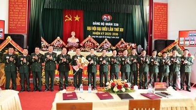 Đại hội Đại biểu Đảng bộ Đoàn 338 lần thứ XIV nhiệm kỳ 2025 – 2030