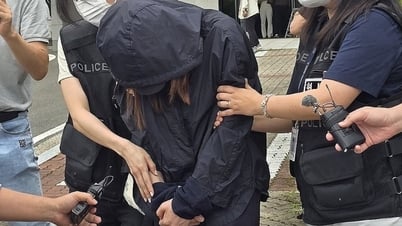 Cô giáo dạy thêm và bố học sinh bị bắt vì đột nhập trường học để trộm đề thi