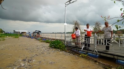 Người dân Đồng Tháp bảo vệ, chăm sóc đàn cá tự nhiên trên sông Tiền
