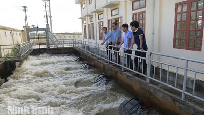 Sẵn sàng vận hành các phương án chống úng, ngập bảo vệ lúa mùa mới gieo cấy